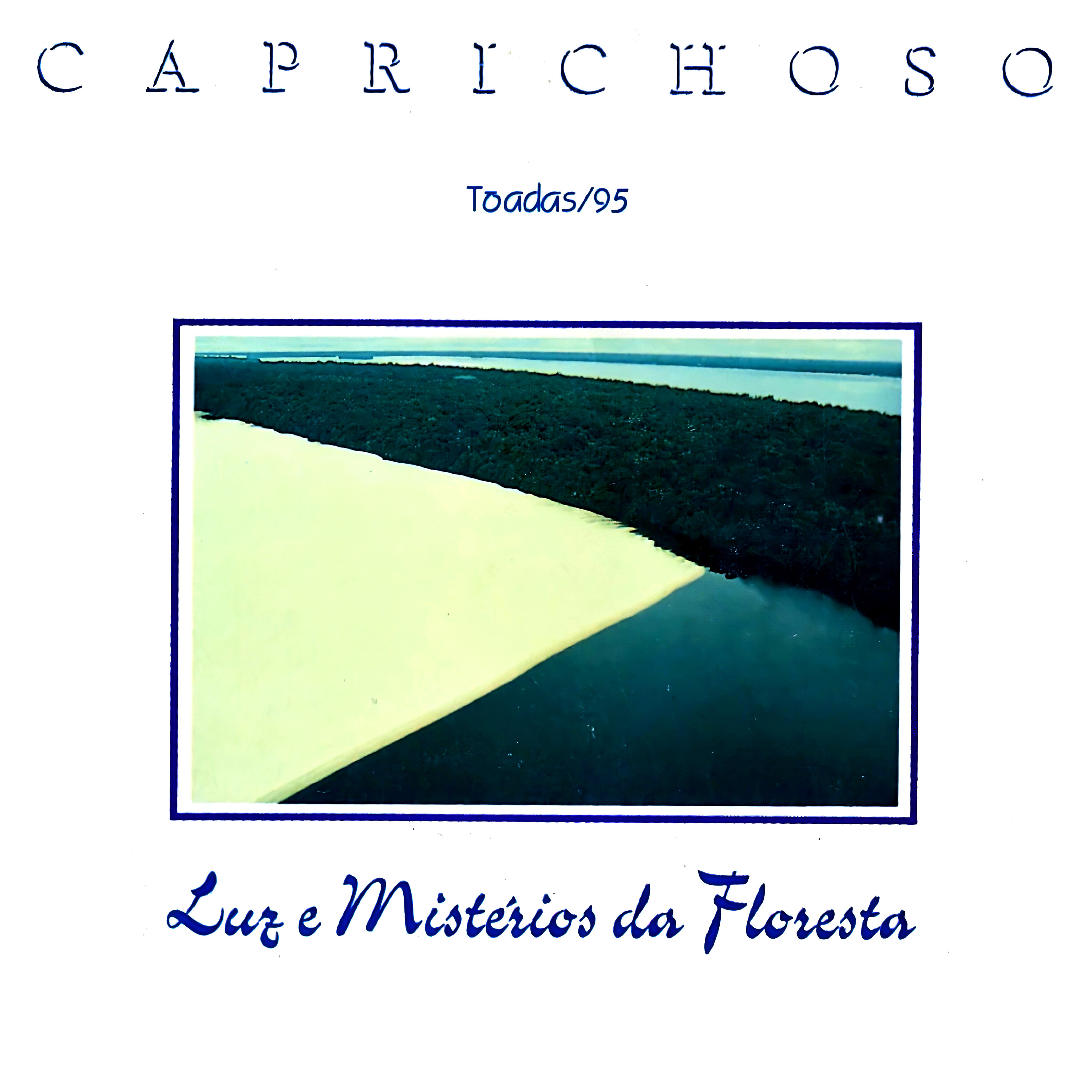 Capa de Luz e Mistérios da Floresta
