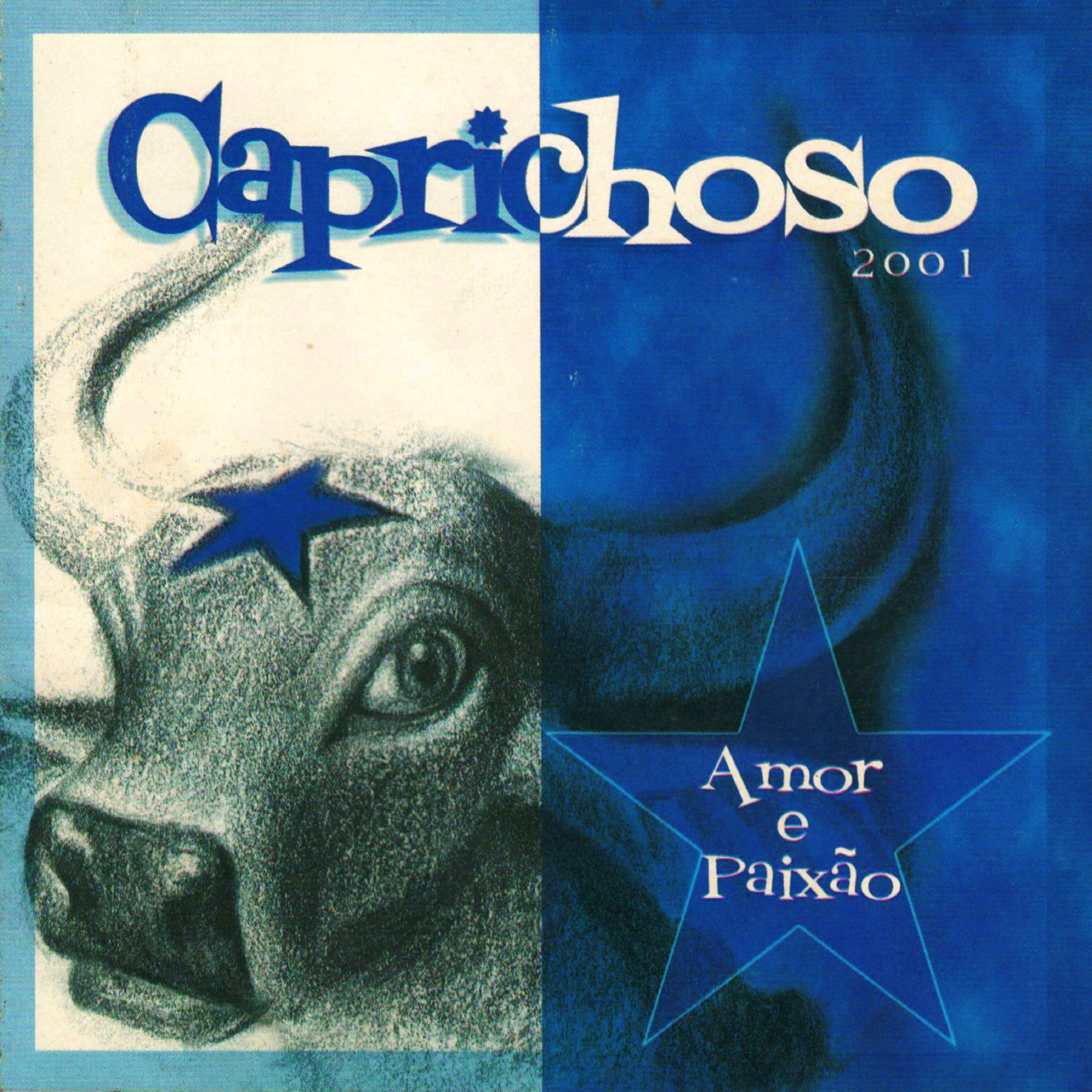 Capa de Amor e Paixão