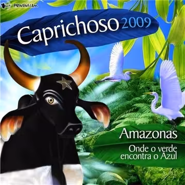 Capa de Amazonas, Onde o Verde Encontra o Azul