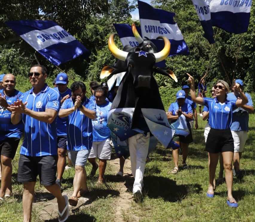 Chegada do Boi Caprichoso ao Parananema